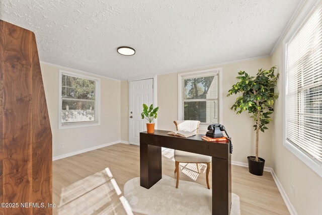 4517 Delta Ave, Jacksonville, FL 32205 - home office featuring light wood finished floors and a textured ceiling