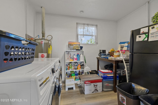 1516 Prospect St, Palatka, FL 32177 - washroom with water heater, laundry area, light wood-type flooring, and washing machine and clothes dryer