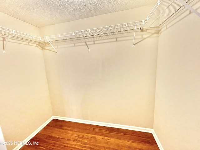 spacious closet with wood finished floors