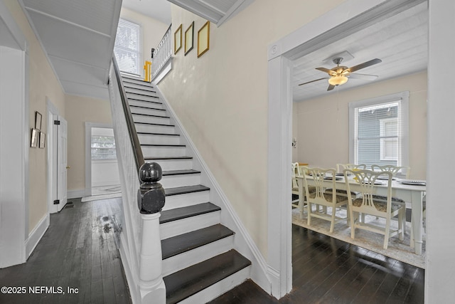 staircase featuring plenty of natural light, baseboards, and hardwood / wood-style flooring