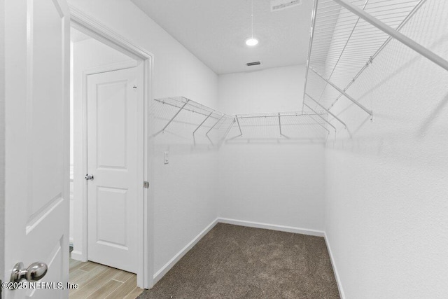 walk in closet featuring carpet