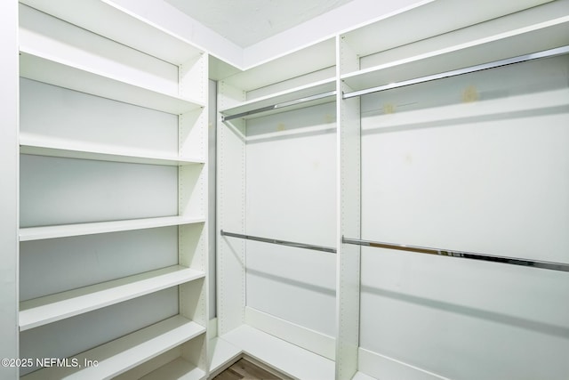 view of walk in closet