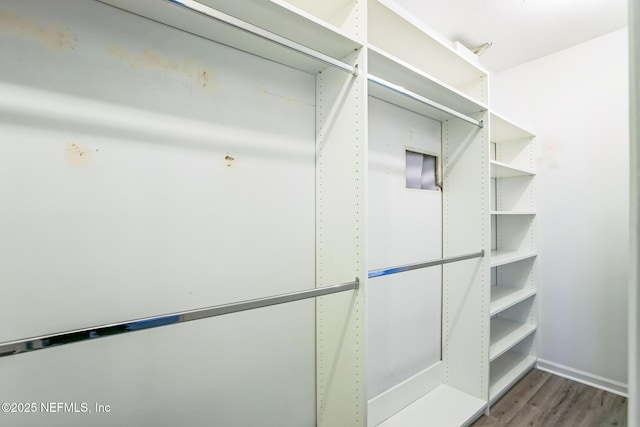 spacious closet featuring wood finished floors