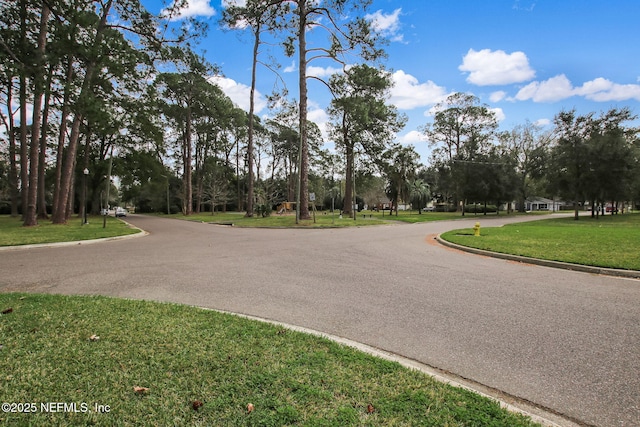 view of road with curbs