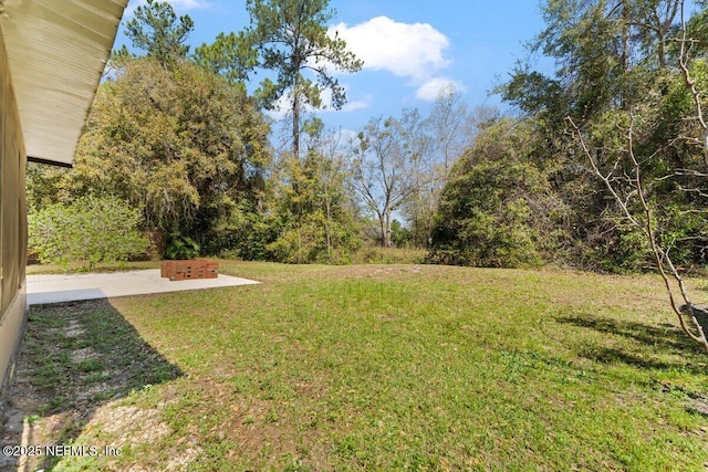 view of yard with a patio