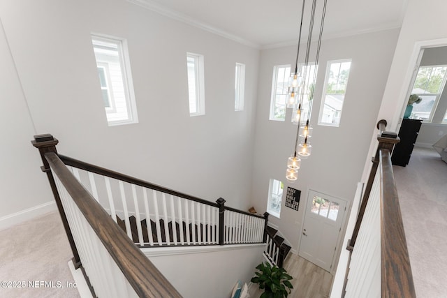 stairway with baseboards, carpet, and crown molding