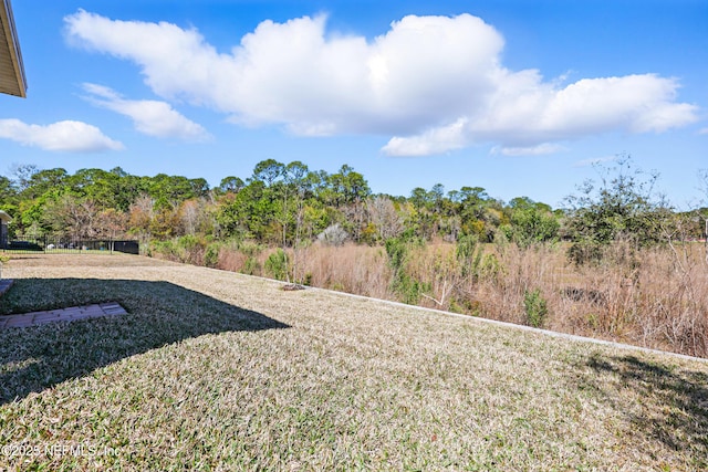 2965 Crossfield Dr, Green Cove Springs, FL 32043 - view of yard