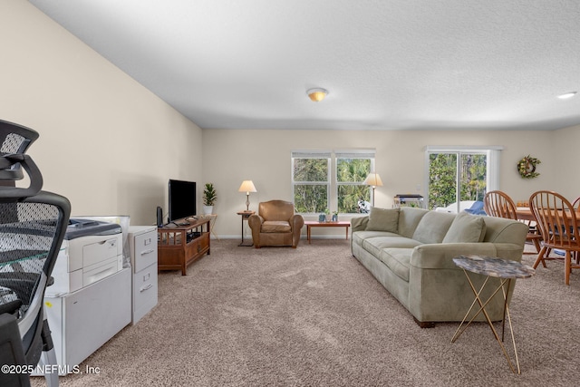 living room featuring light colored carpet and a textured ceiling