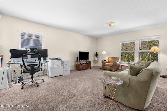 interior space with baseboards and carpet