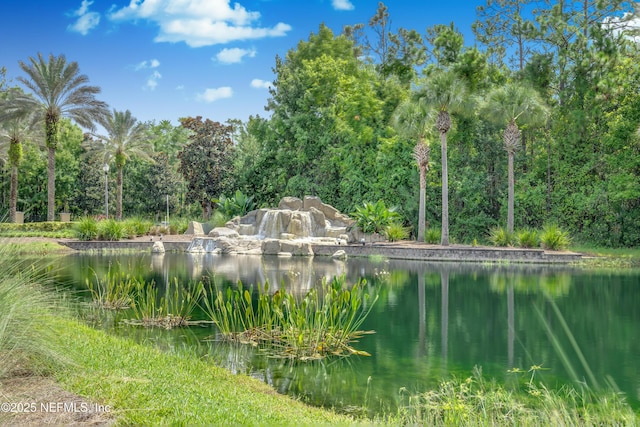 view of water feature