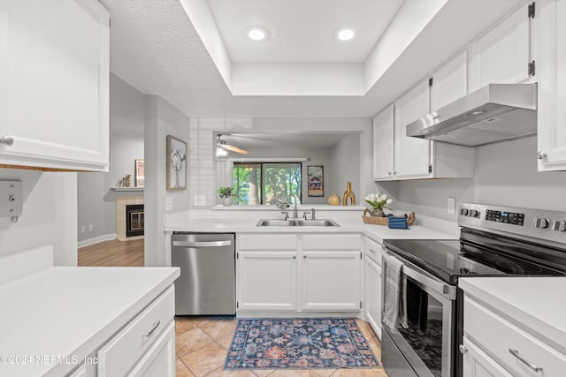 kitchen featuring a sink, a tray ceiling, ventilation hood, appliances with stainless steel finishes, and light countertops