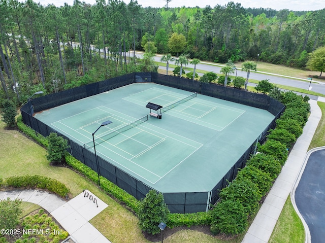 124 Mollusk Rd, Saint Johns, FL 32259 - photo 63