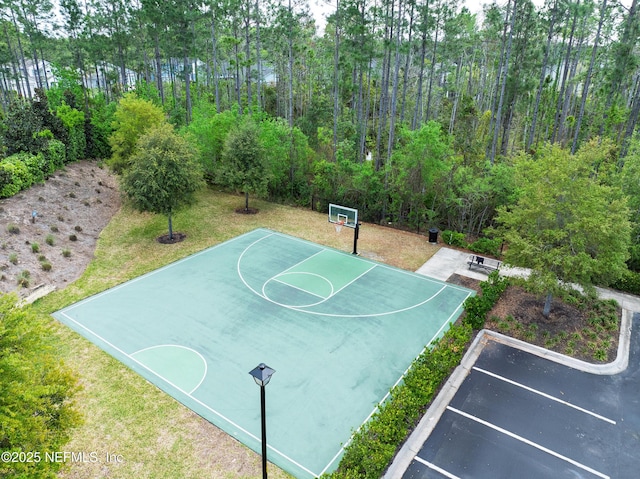 124 Mollusk Rd, Saint Johns, FL 32259 - photo 64