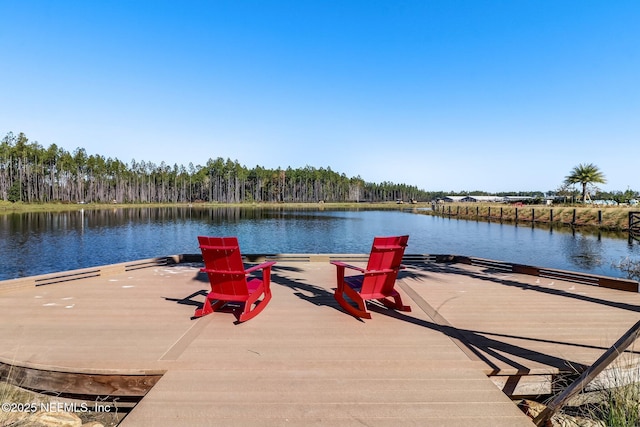 dock area with a water view