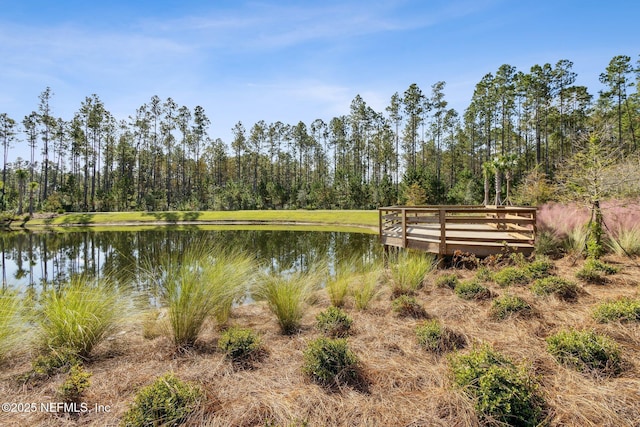 view of water feature with a wooded view