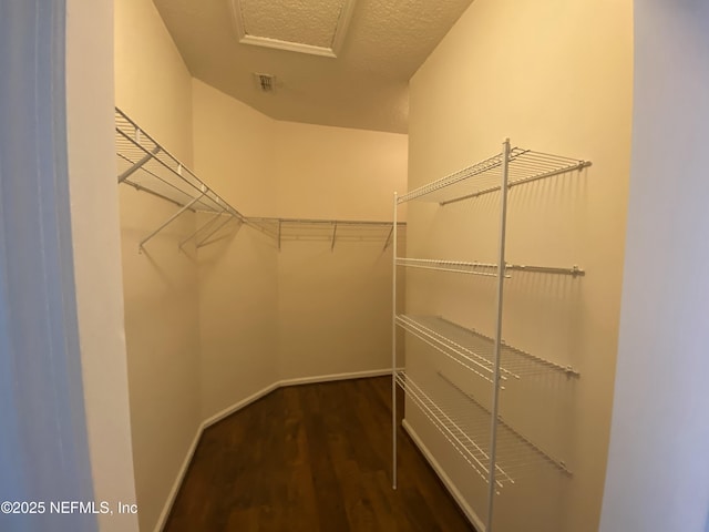 walk in closet featuring wood finished floors