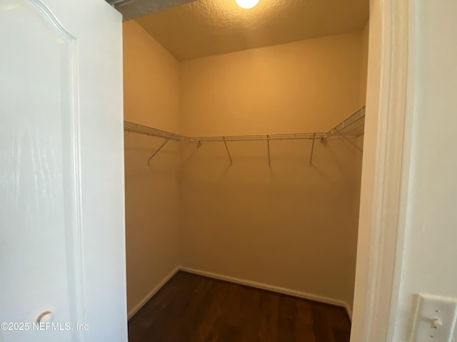 spacious closet featuring dark wood-type flooring