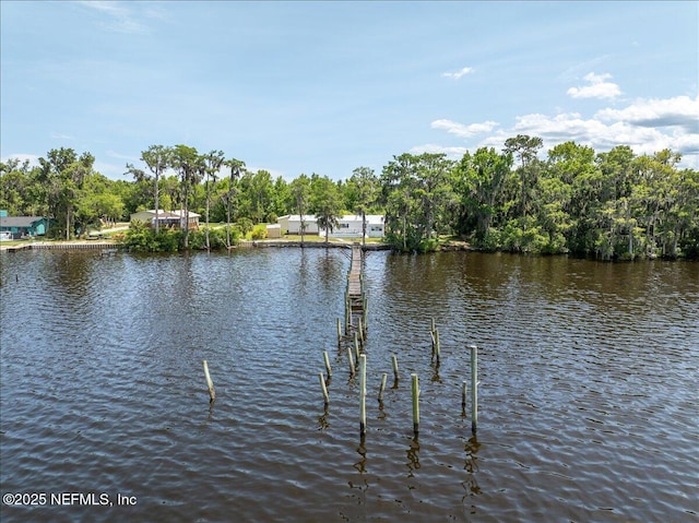 water view with a dock