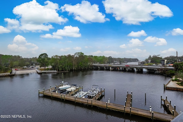 dock area with boat lift and a water view