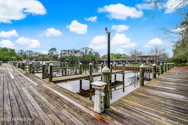 dock area featuring a water view