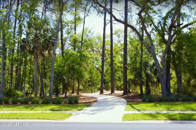 view of property's community featuring a lawn