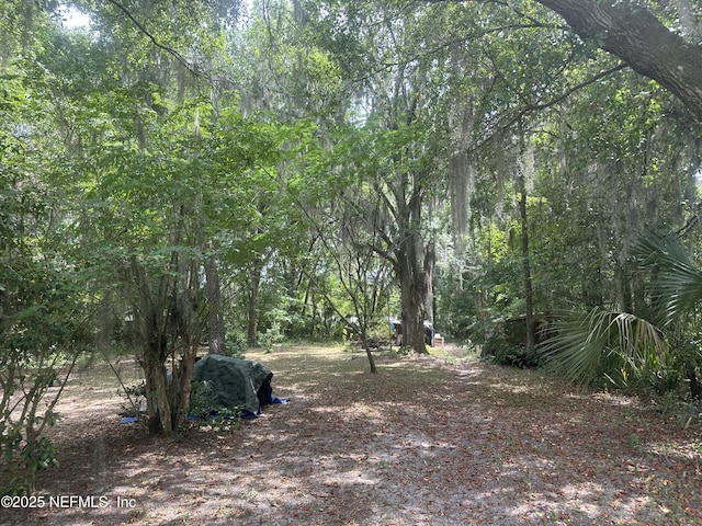 9738 Fraser Rd, Jacksonville, FL 32246 - photo 21