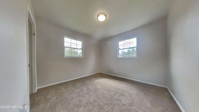 spare room featuring baseboards, plenty of natural light, and carpet flooring