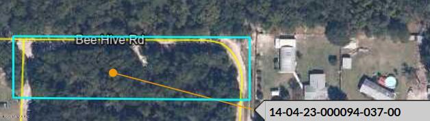 0 Bee Hive Rd, Middleburg FL, 32068 land for sale