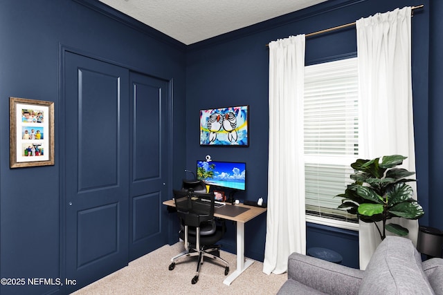 home office featuring crown molding, carpet floors, and a textured ceiling