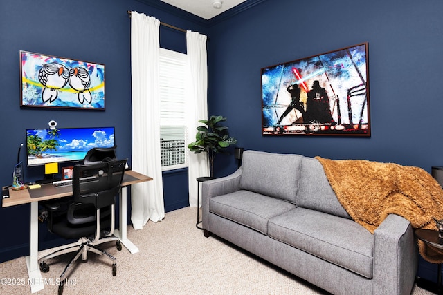 home office with carpet