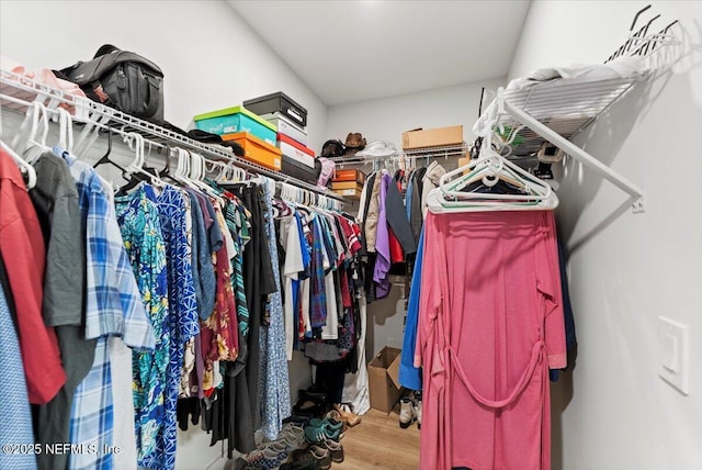 spacious closet featuring wood finished floors