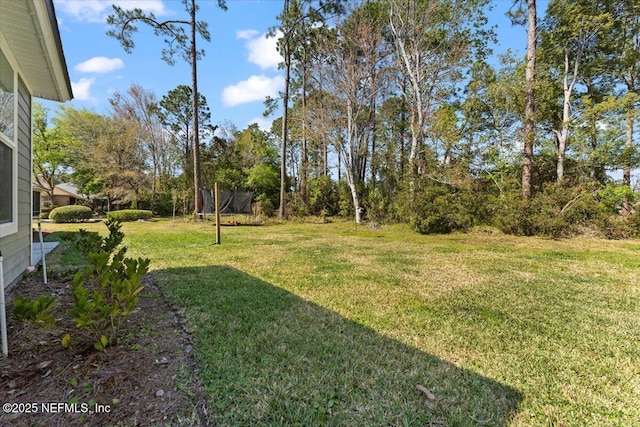 view of yard featuring a trampoline