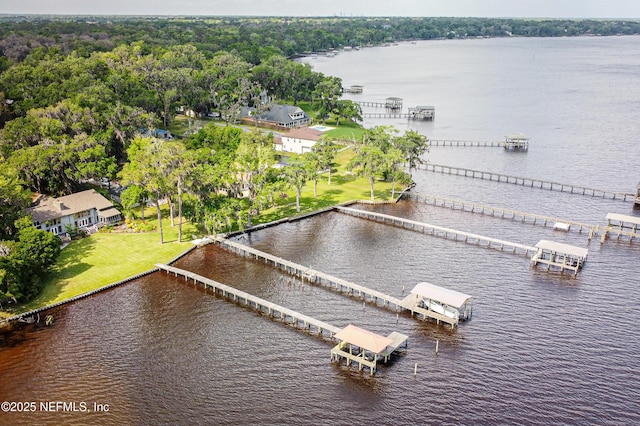 bird's eye view with a water view and a view of trees