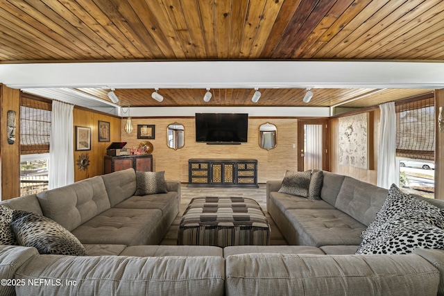 living area with wooden ceiling, rail lighting, and wood walls