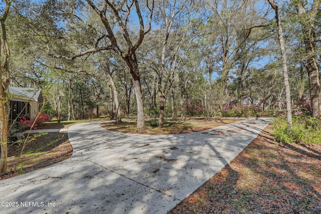 view of yard with driveway