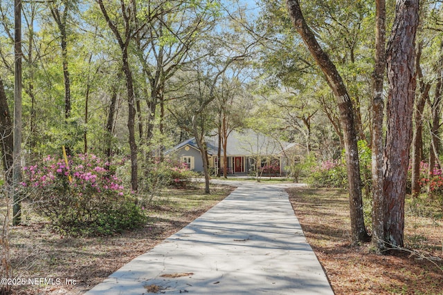 view of home's community with driveway