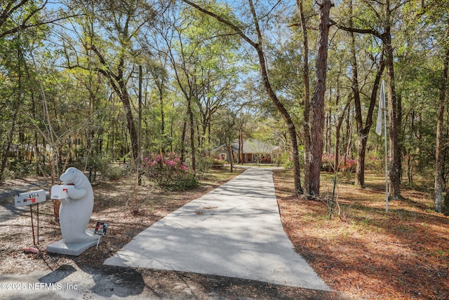 surrounding community featuring driveway