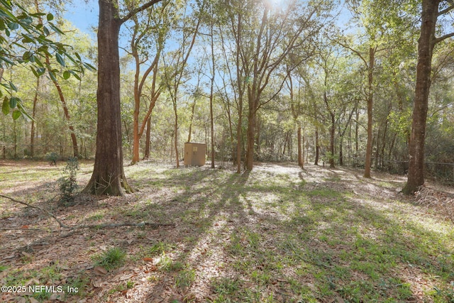 view of yard with a wooded view