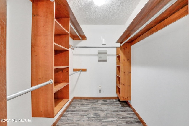 spacious closet featuring wood finished floors