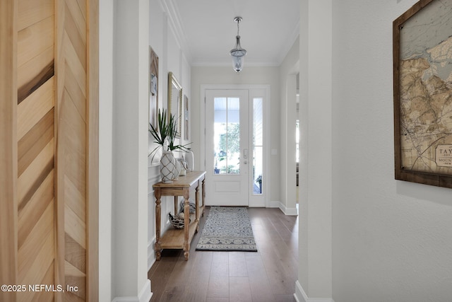 88 Village Grande Dr, Ponte Vedra, FL 32081 - entryway featuring dark wood finished floors, a sauna, and ornamental molding