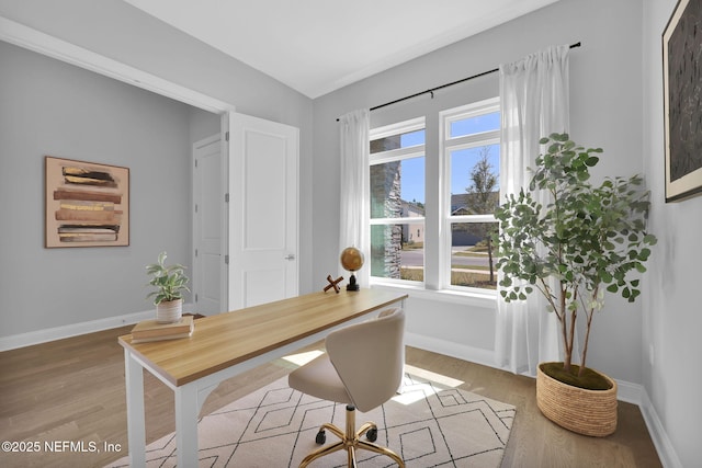 office space with baseboards and wood finished floors