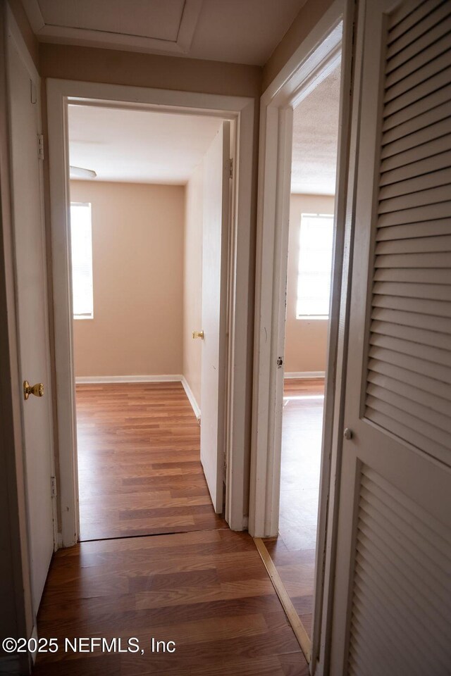 5646 Ricker Rd, Jacksonville, FL 32244 - photo 34