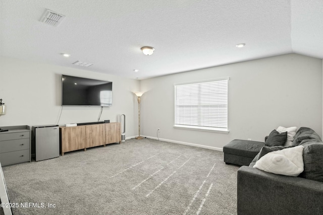 living area with carpet, baseboards, visible vents, lofted ceiling, and a textured ceiling