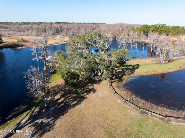 bird's eye view with a water view and a wooded view