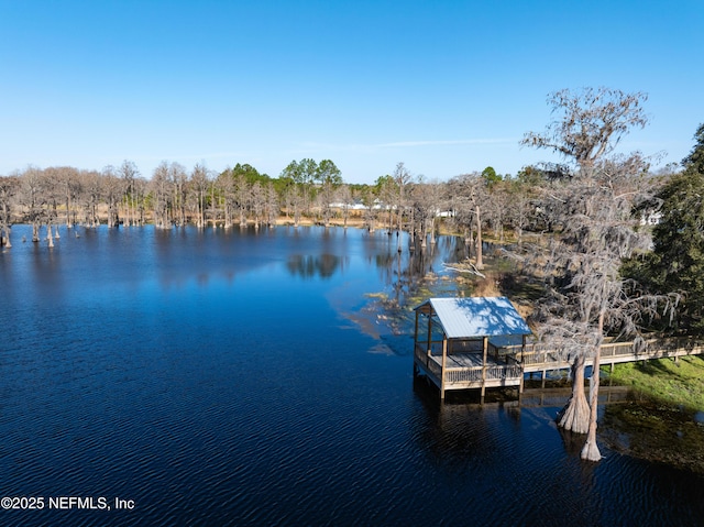 dock area with a water view