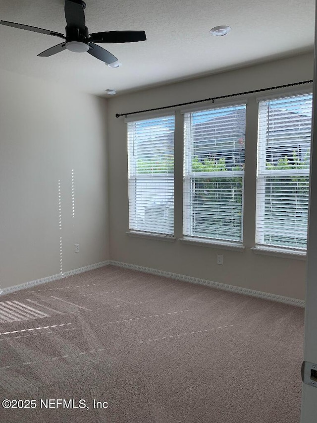 empty room with carpet, baseboards, and a wealth of natural light