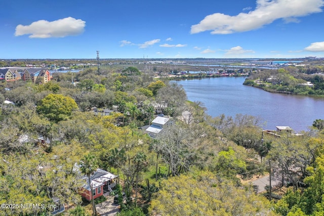 31 Lewis Blvd, Saint Augustine, FL 32084 - birds eye view of property with a water view