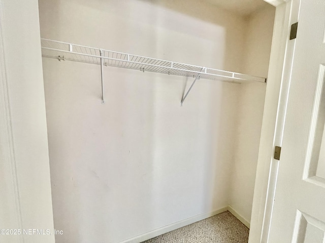 view of closet