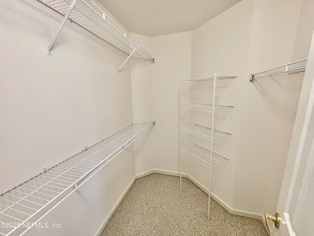 spacious closet featuring light colored carpet