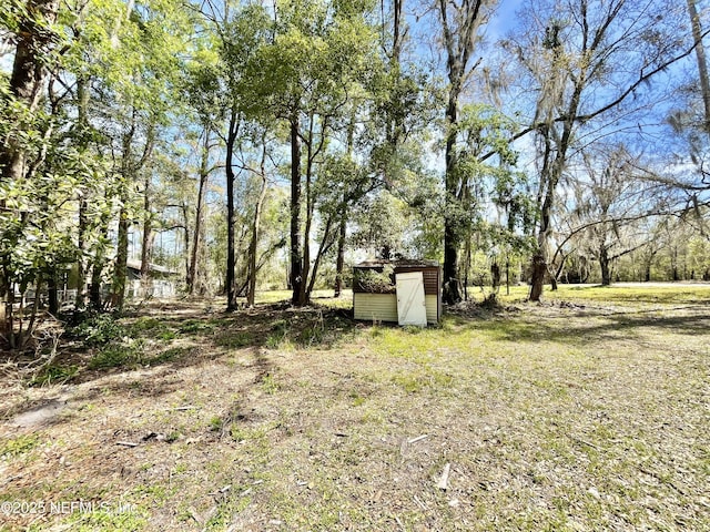 view of yard with an outdoor structure and a storage unit